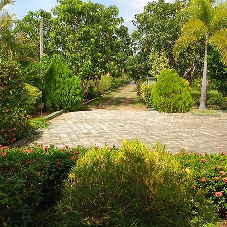 Sunshine Holiday Resort -Sella Kataragama Ngoại thất bức ảnh