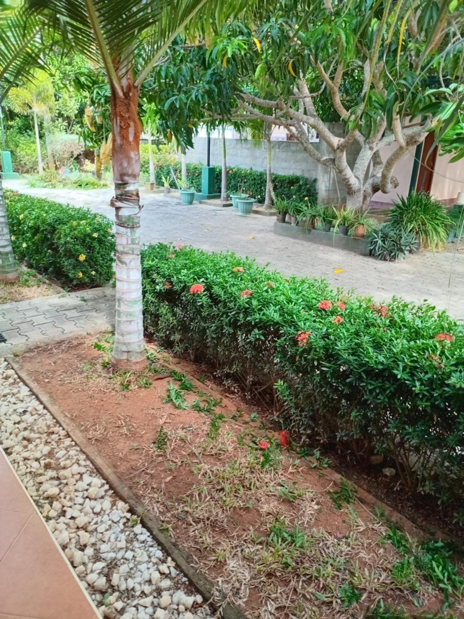 Sunshine Holiday Resort -Sella Kataragama Ngoại thất bức ảnh